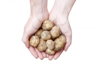 Royalty Free Photo of a Person Holding Potatoes