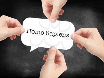 Homo Sapiens written on a speechbubble
