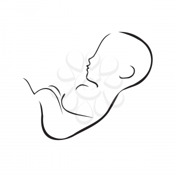 Fetal Clipart