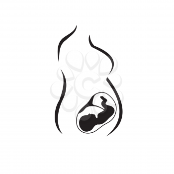 Embryonic Clipart