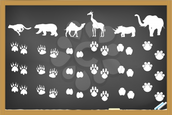 Royalty Free Clipart Image of Animal Footprints on a Chalkboard