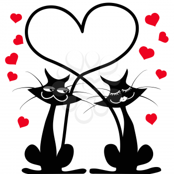 the background of two black cats falling in love on white