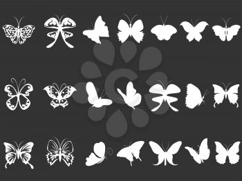 isolated white butterfly silhouettes from black background
