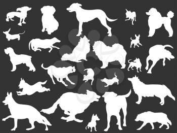 isolated white dogs silhouettes set from black background