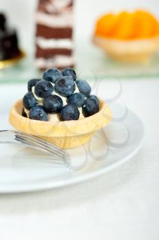 fresh blueberry cream cupcake homemade closeup macro