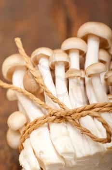 bunch of fresh wild mushrooms on a rustic wood table tied with a rope