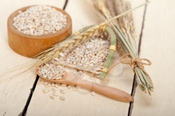 organic wheat grains  over rustic wood table macro closeup