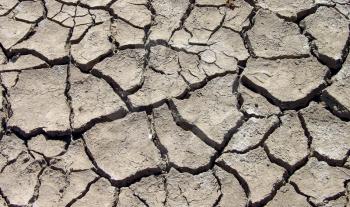 Royalty Free Photo of Cracked Mud