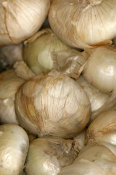 Royalty Free Photo of White Onions