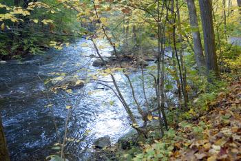 Royalty Free Photo of a River