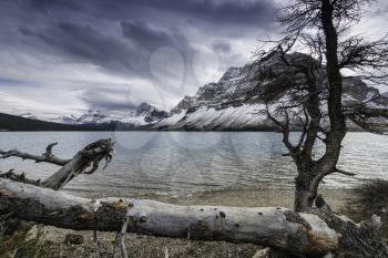 Bow Lake is a small lake in western Alberta, Canada. It is located on the Bow River, in the Canadian Rockies, at an altitude of 1920 m.