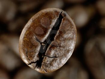 Royalty Free Photo of a Coffee Bean
