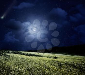 Nightly meadow. Natural summer backgrounds with comet and full moon