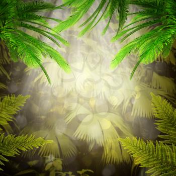 Early morning in the tropical forest. Abstract natural backgrounds