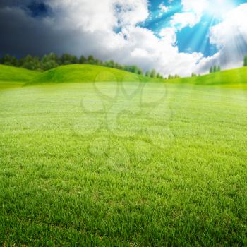 Summer morning on the meadow, abstract environmental backgrounds