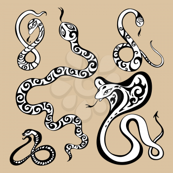 2013 Year snake symbol. Horoscope vector illustration.
