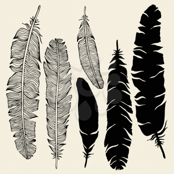 Vintage Feather silhouette. Vector set Hand-drawn illustration