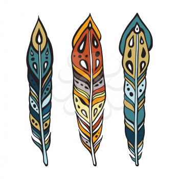 Vintage ethnic feathers. Hand drawn tribal illustration