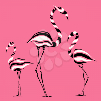Abstract Silhouettes of pink Flamingo. Beautiful Vector illustration. White background.