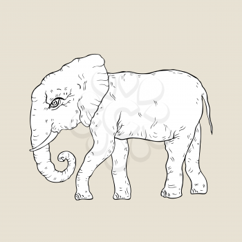Elephant. Hand drawn Vector illustration, White background