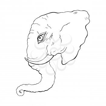 Head of elephant. Hand drawn Vector illustration