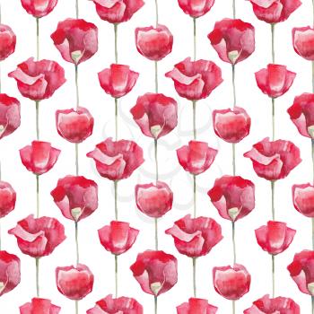 Red poppies on white background. Seamless watercolor floral pattern. Hand Drawn Flowers