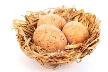 Royalty Free Photo of Eggs in a Nest