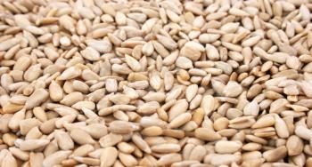 Royalty Free Photo of Sunflower Seeds