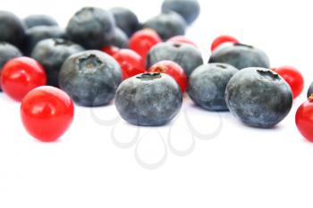 Royalty Free Photo of Red Currants and Blueberries