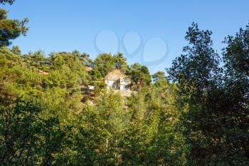 Landscape with pine-tree forest and house in Cyprus.