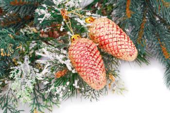 Christmas shiny cones, fir-tree branch on white background.