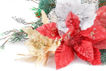 Christmas decoration with flowers and fir-tree branch.