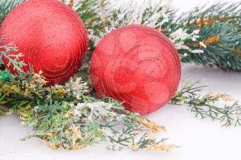 Christmas decoration with red balls and fir-tree branch.