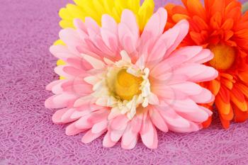 Colorful fabric daisies on pink background, closeup picture.