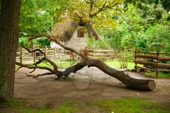 Traditional old house at Skansen, the first open-air museum and zoo, located on the island Djurgarden.