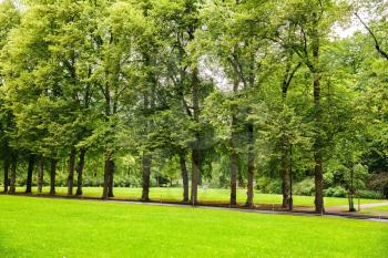 Trees in the park in Oslo, Norway.