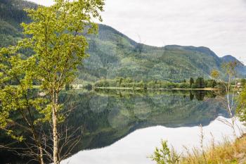 Landscape with mountains, forest and lake in Norway.