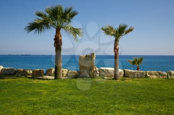 Landscape with the palm trees and Mediterranean sea in Cyprus.