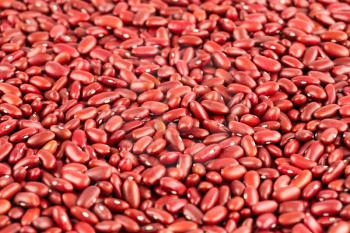 The red kidney beans close up picture.