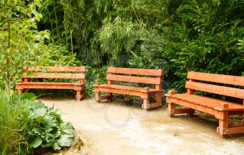 Three wooden benches in the park.