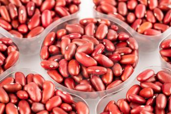 The red kidney beans in the plastic box, close up picture.