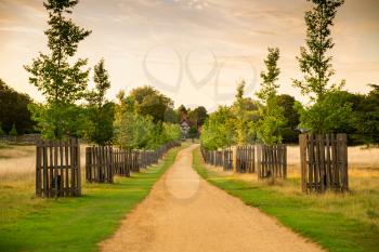 Landscape with trees, field, path and house in sunny summer day in Richmond Park, London, UK.