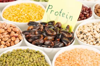 The collection of different beans and peas in the ceramic bowls with notice protein.
