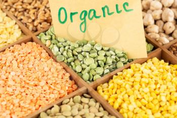The collection of different groats, lentils, wheat, buckwheat, chickpea and peas in the wooden box with notice organic.