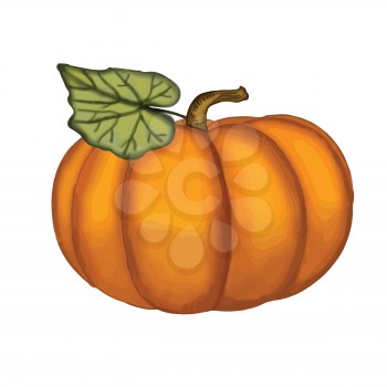 Hand drawn watercolor pumpkin, vector format