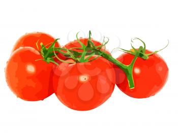 Lush tomato with green branch. Vector