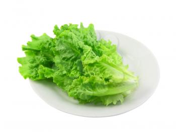 Leaf of lettuce on white background. Isolated over white