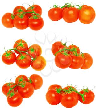 Collection (set) of lush tomatoes with green branch.Isolated