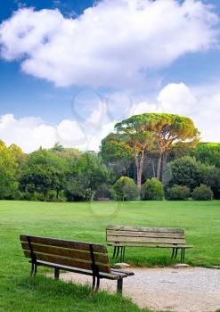 Two benches in the lawn during early spring day.