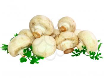 Ripe mushroom champignon with green parsley leaves isolated on white background.